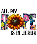 All My Hope is in Jesus